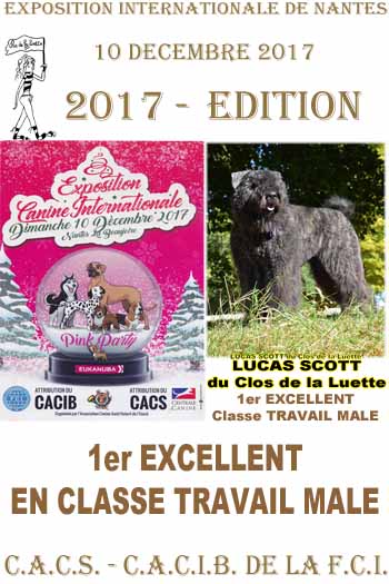 LUCAS NANTES 2017